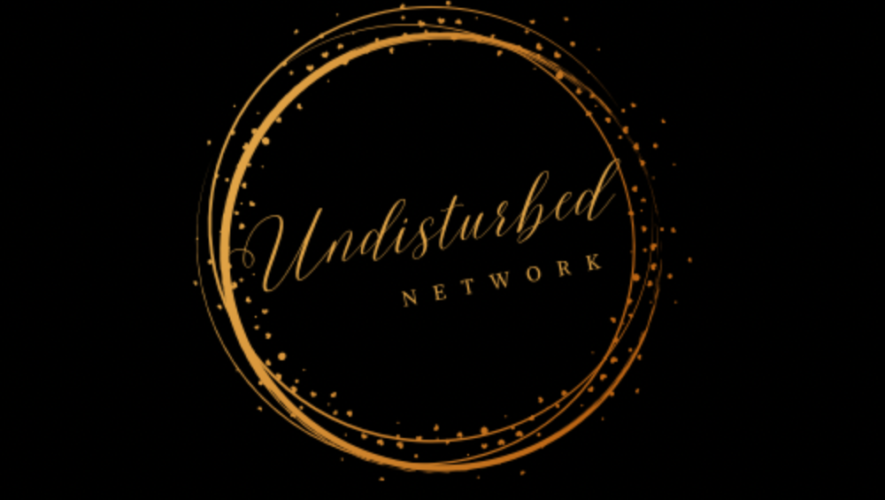 NEWS UPDATE: UNDISTURBED NETWORK RELEASES OFFICIAL TRAILER!